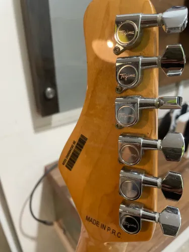 Guitarra tg530
