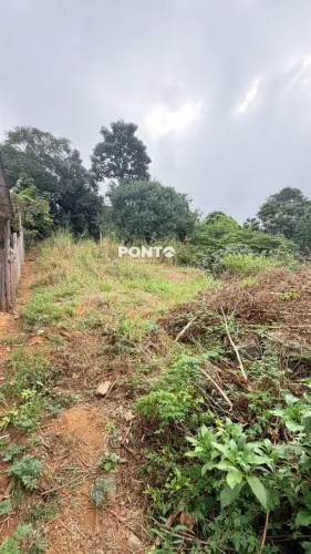 LOTE EM JARDIM CAMPO GRANDE | CARIACICA/ES