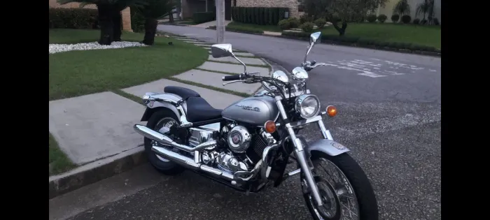 Custom 650