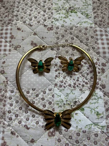 Conjunto de borboleta