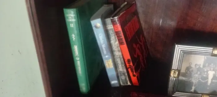 Livros Diversos Autores Literatura Variada zap *
