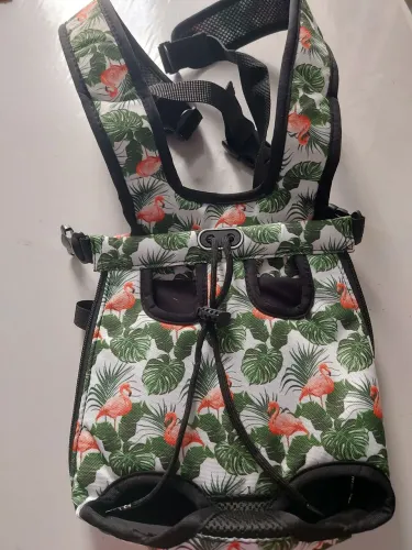 Mochila para carregar pet