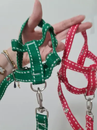 Vende-se coleiras para Pet pequenos