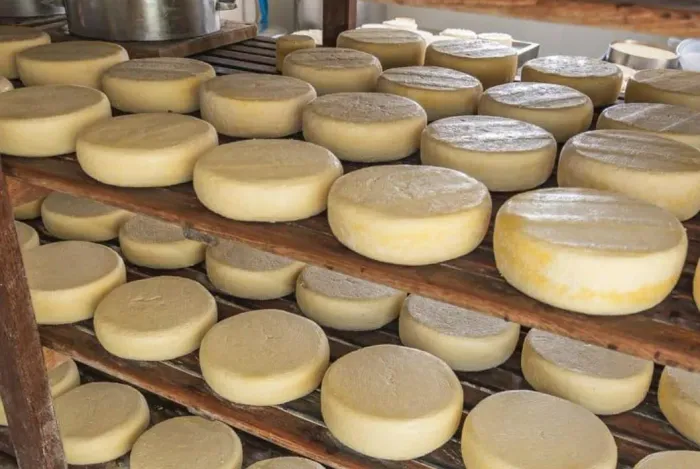 Produtos maravilhosos e deliciosos diretamente do nordeste 