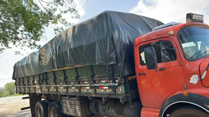Caminhão 1313 truck
