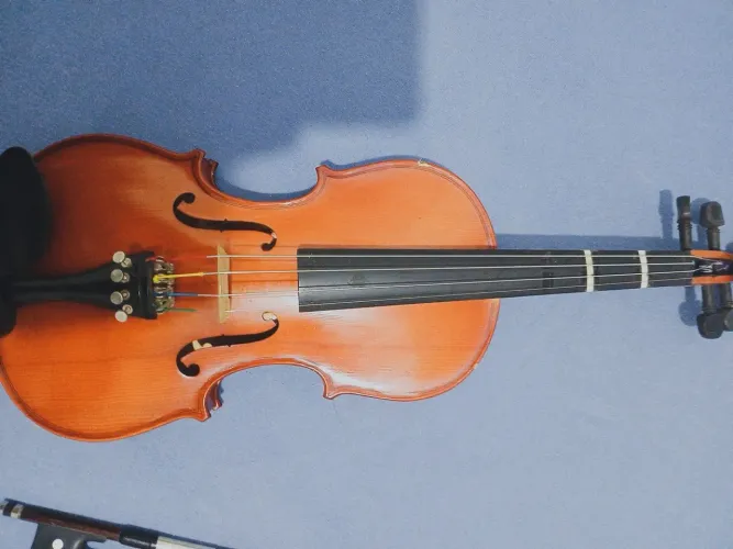 Violino seminovo
