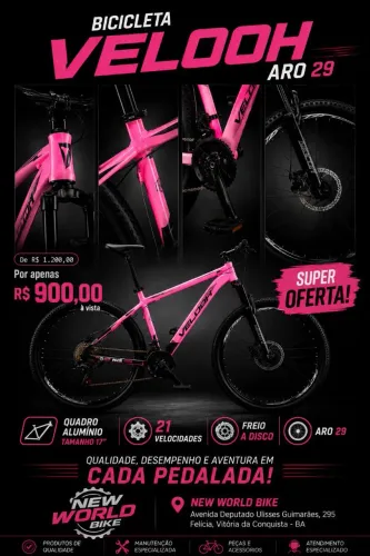 Bicicleta Velooh aro 29 17