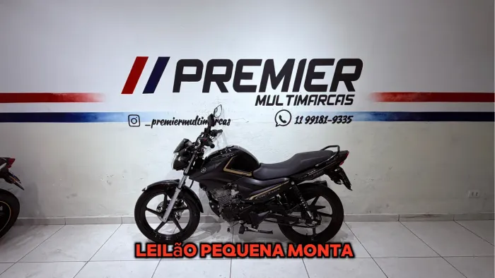 Yamaha Ybr 150 Factor Ed/Flex