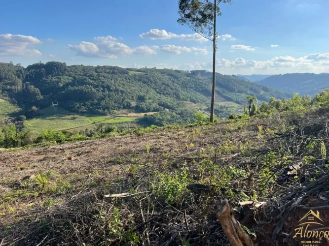 Área de terra de 2 hectares à venda no bairro Pinhal Alto em Nova Petrópolis RS REF: 1725