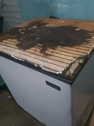 Freezer com avarias mais funcionário perfeitamente