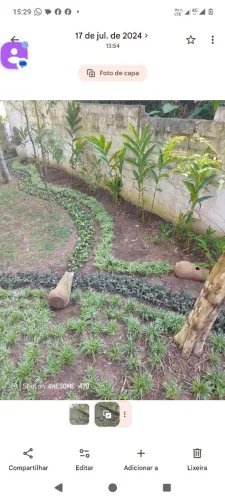 Jardineiro