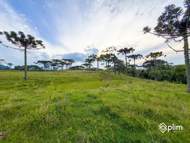 Terreno de 3 hectares na Santa Bárbara em Alfredo Wagner SC - Pedra da Tartaruga