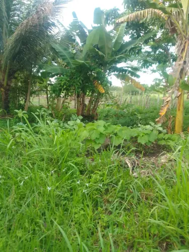 Sitio 2.5 tarefas