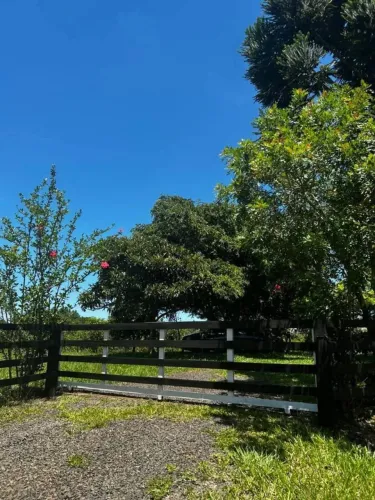 VENDE - SE SÍTIO TRIUNFO 
