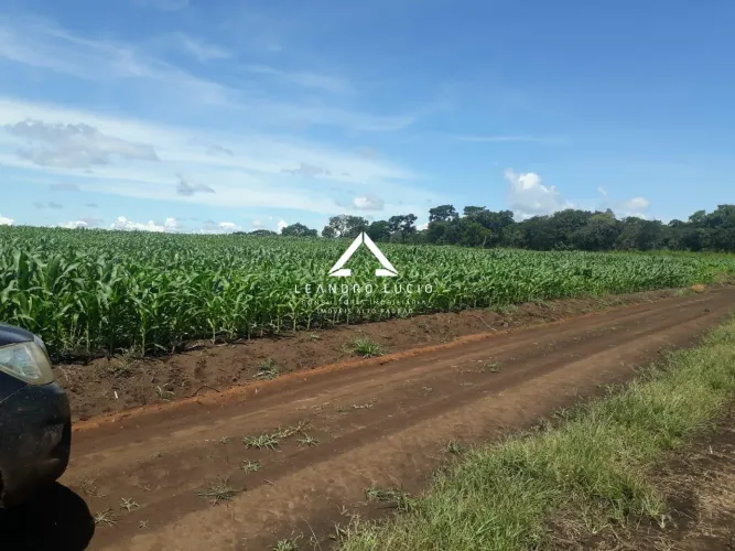 Fazenda para Venda em Ribeirão Cascalheira, Zona Rural, 3 dormitórios, 1 banheiro