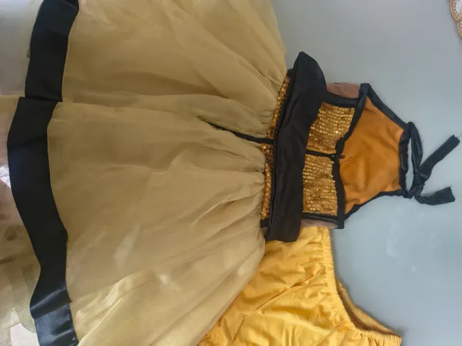 Fantasia abelha
