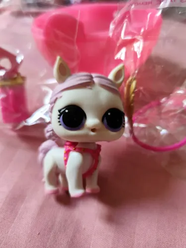 Lol show poney