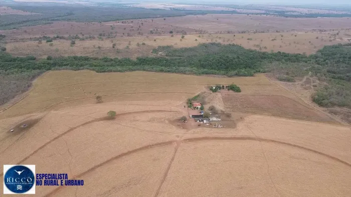 Fazenda à venda em Montes Claros - 70 alqueires - Ponte Alta do Araguaia.