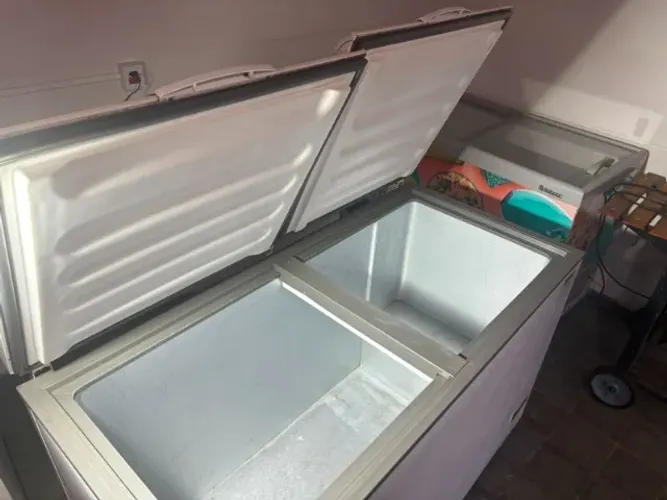 Freezer Consul 110v