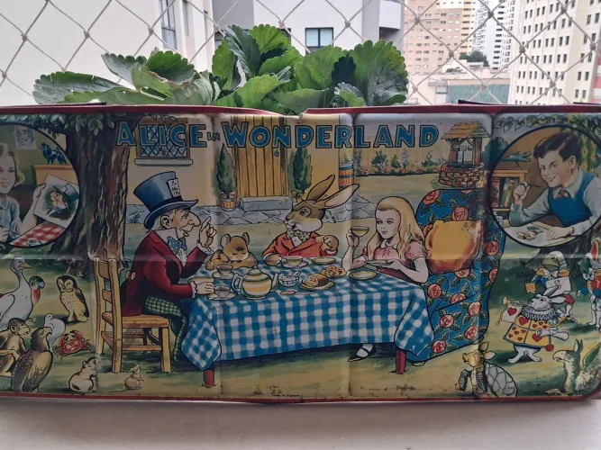 Antiguidade de 1950 Memorabilia Infantil Alice In Wonderland Alice no País das Maravilhas