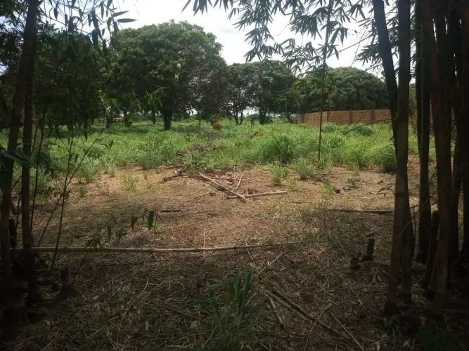 Lote no Café sem troco com 1000 metros, 260.000