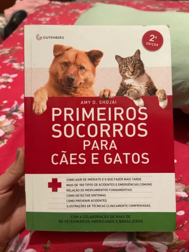 Primeiros socorros para cães e gatos 