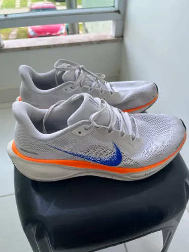 Tênis Nike Pegasus TAM 42