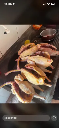 Frango e galinha caipira