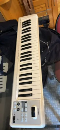 ROLAND A-49-BK | TECLADO CONTROLADOR PORTÁTIL COM AÇÃO PROFISSIONAL BRANCO