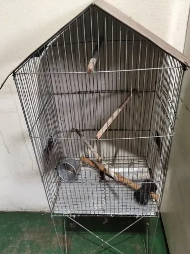 Vendo viveiro para pássaros