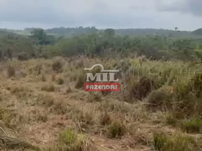 Fazenda Centro Novo/MA - 199 alqueires (967 hectares)