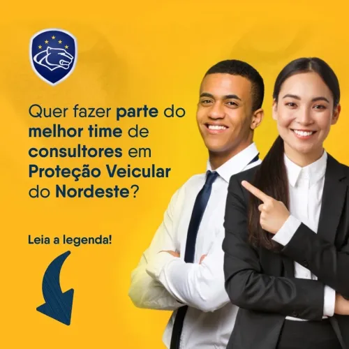 Vaga consultor