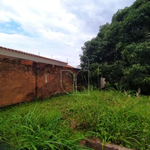 Terreno Residencial em Jardim Dirceu - Marília