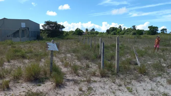 Terreno Em Campinhos - Barra Grande - Bahia
