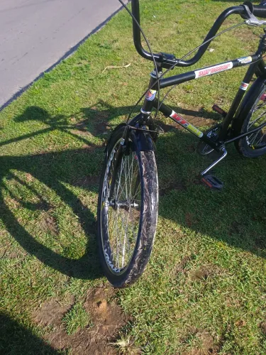Bicicleta safari