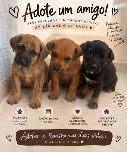 Animais de estimação
