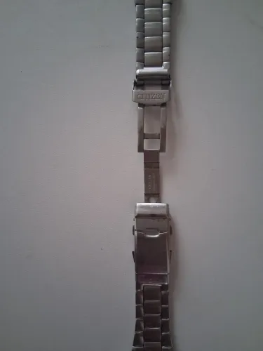 Citizen<br>