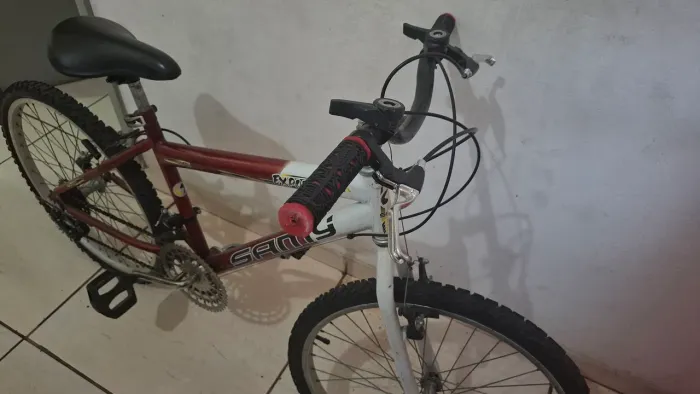 Bicicleta Samy Export