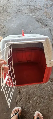 CAIXA DE TRANSPORTE DE CACHORRO