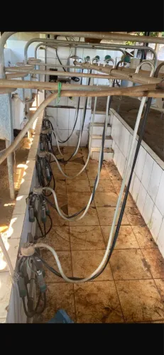 Sala de ordenha e resfriador