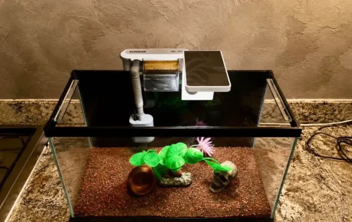 AQUÁRIO 20 LITROS PRONTO PARA USO