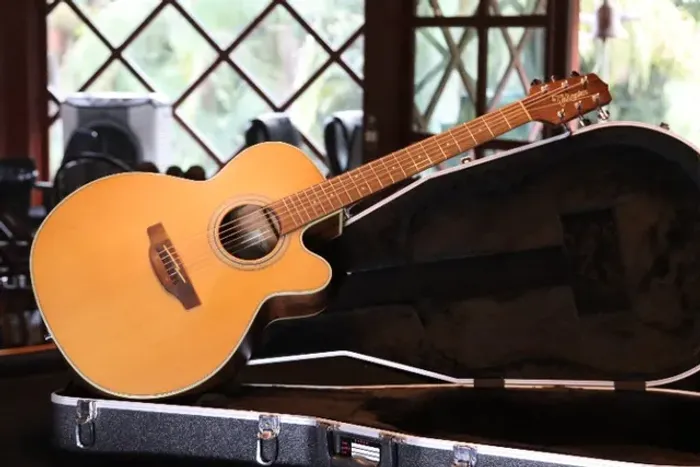 Violão Takamine Original