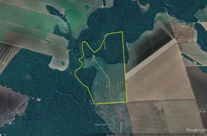 Vende-se sítio em Tapurah-MT 96 Hectares divisa com rio