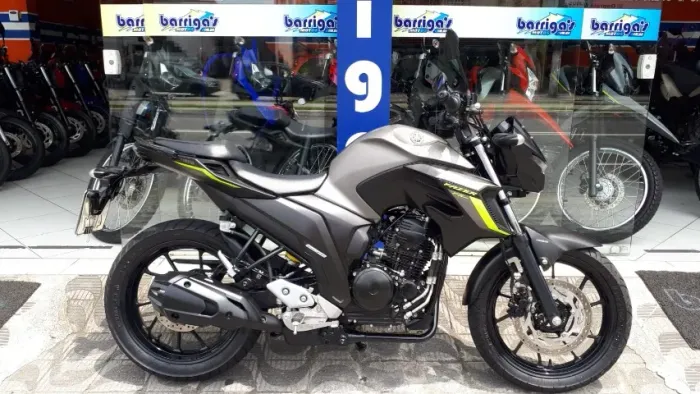 Yamaha Fz 250 Fazer 250 Flex Abs 2024 Cinza Único Dono