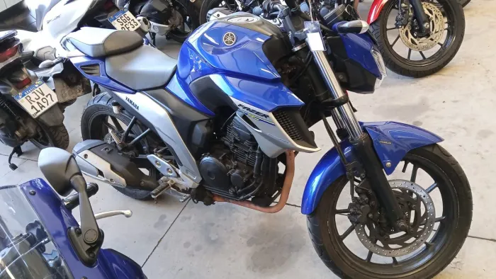 FZ 25 2019