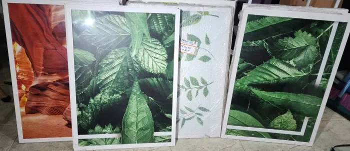 Quadros Decorativos com Moldura - Natureza e Paisagens Usado lote de 9 unidades RETIRADA