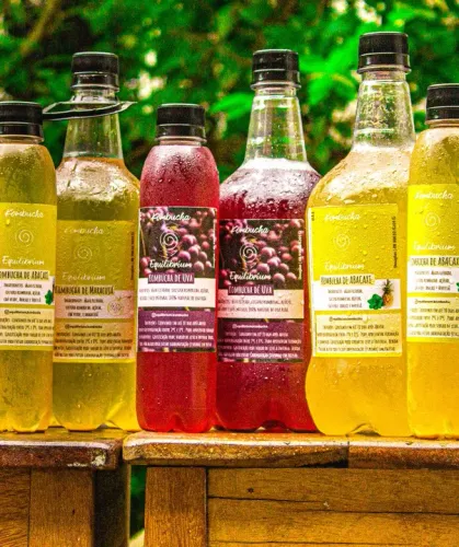 Kombucha Equilibrium 