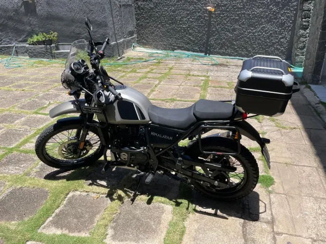 Vendo Himalayan