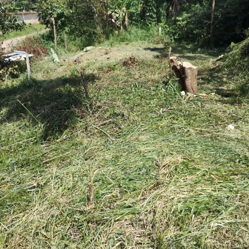 Terreno em Ipiabas 