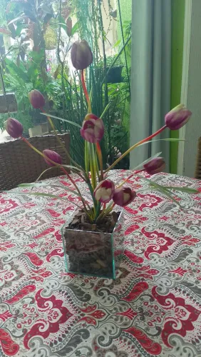 Desapego de vaso de planta artificial lindo